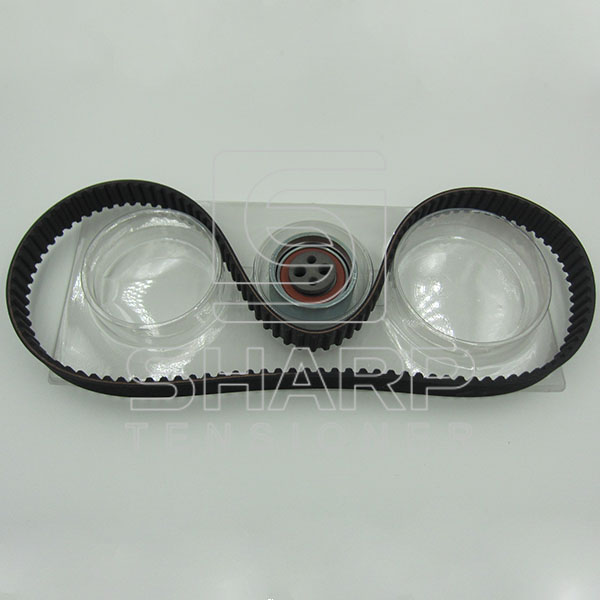 FIAT GOODYEAR GYK32101  INA F555072  NYTRON KIT9026 Timing Belt Kit