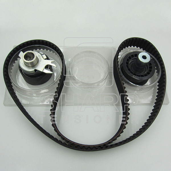 VW SKF VKMA01114  INA 530050010 RUVILLE 5543070    Timing belt kit