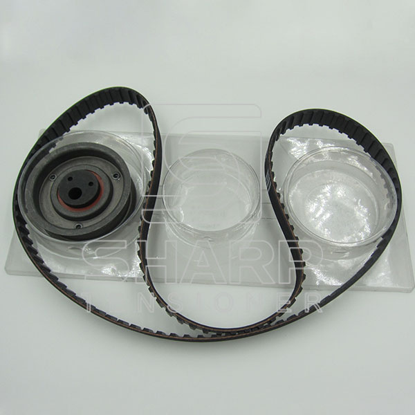 VW 056198119   6K0198002 Timing belt kit