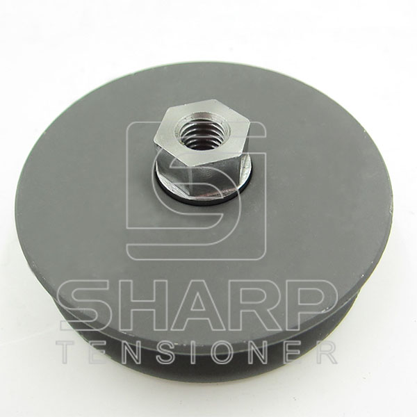 G199552020011,G199552020010 Tensioning pulley