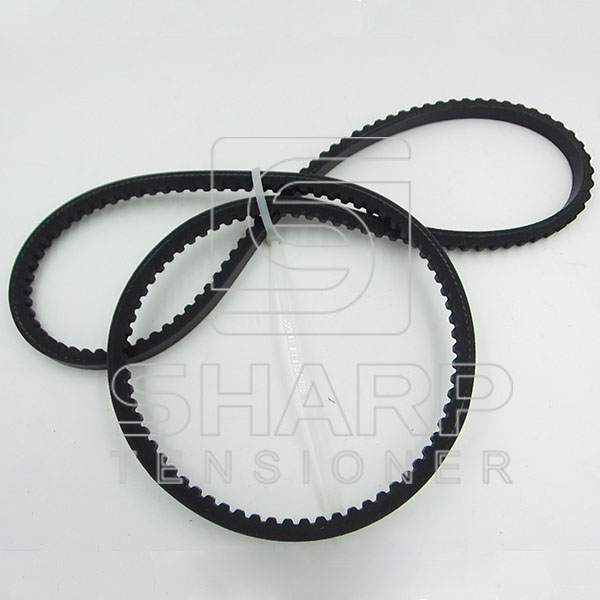 06580731362 06580731361 Man V-Ribbed Belts