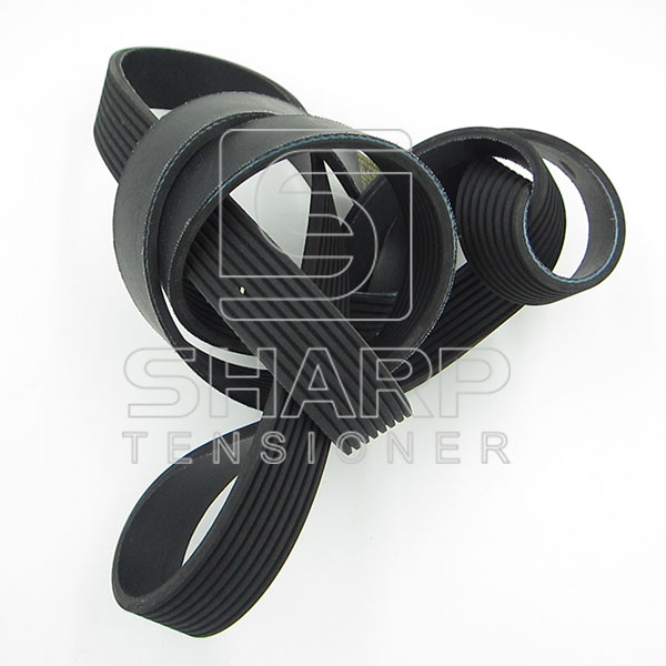 1393365 1148079  20430380 Daf V-Ribbed Belts