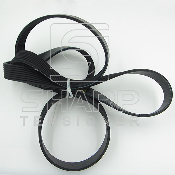 1661948 1654398  Daf V-Ribbed Belts
