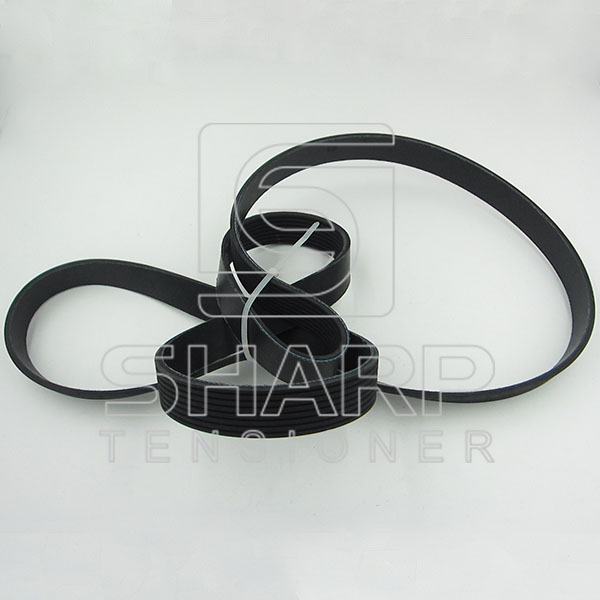 504022568 504049426  Iveco V-Ribbed Belts