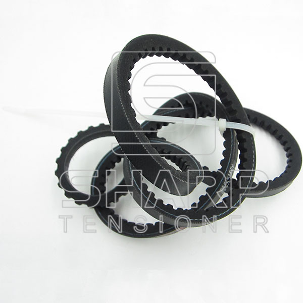 06580731373 06580721372 MAN V-Ribbed Belts