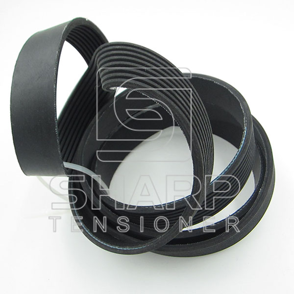 1393280 1389041 DAF V-Ribbed Belts