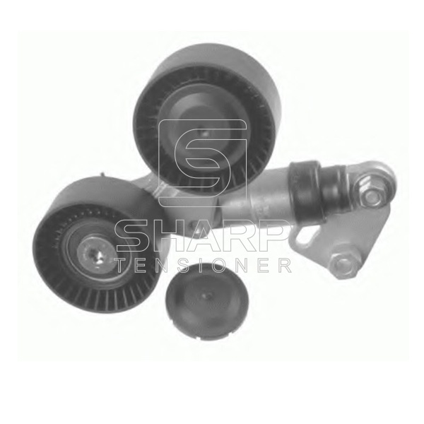 PQG000050 LANDROVER Belt tensioners,V-Ribbed Belt