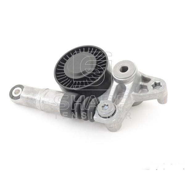 95810236100 PORSCHE Belt Tension,V-Ribbed Belt