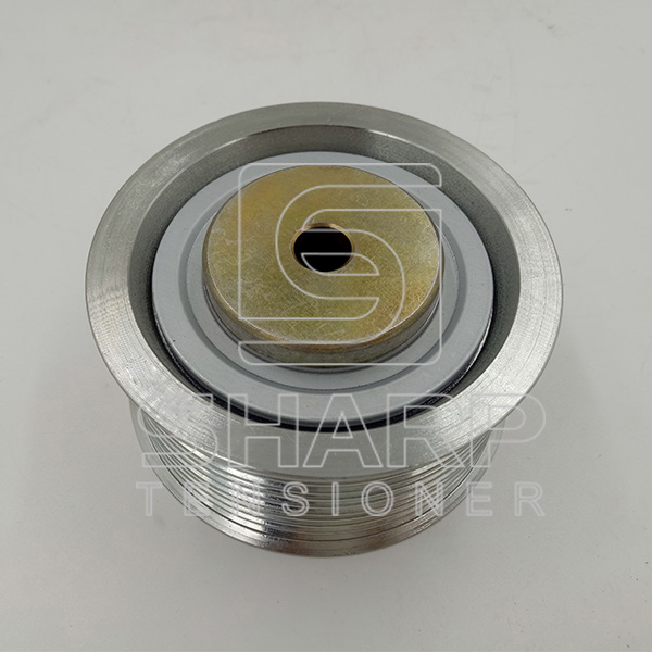 2Z0903165 VOLKSWAGEN Tensioner Pulley