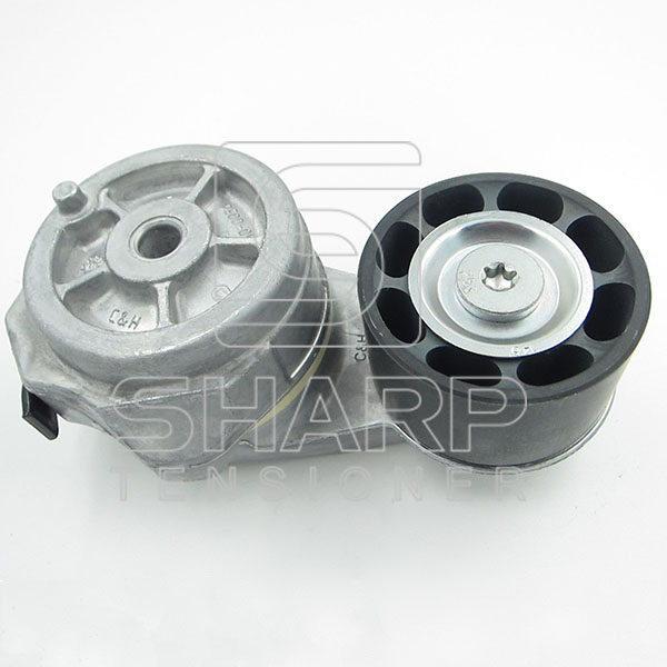 BYT-T16012  2143232  fit for DAYCO 89479