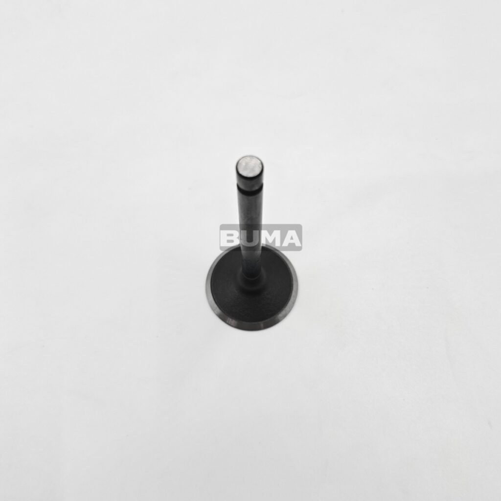 02/802904 Inlet Valve For JCB