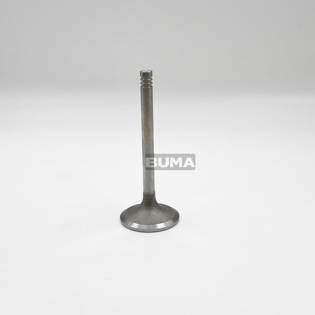 12159606 Intake Valve For Deutz