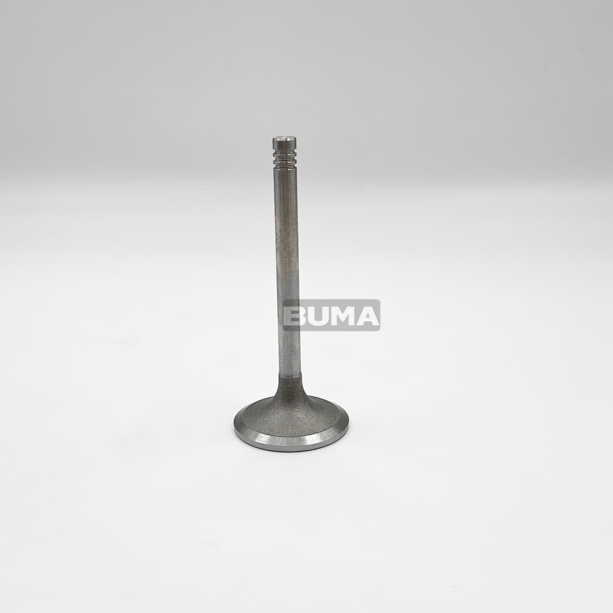 12159606 Intake Valve For Deutz