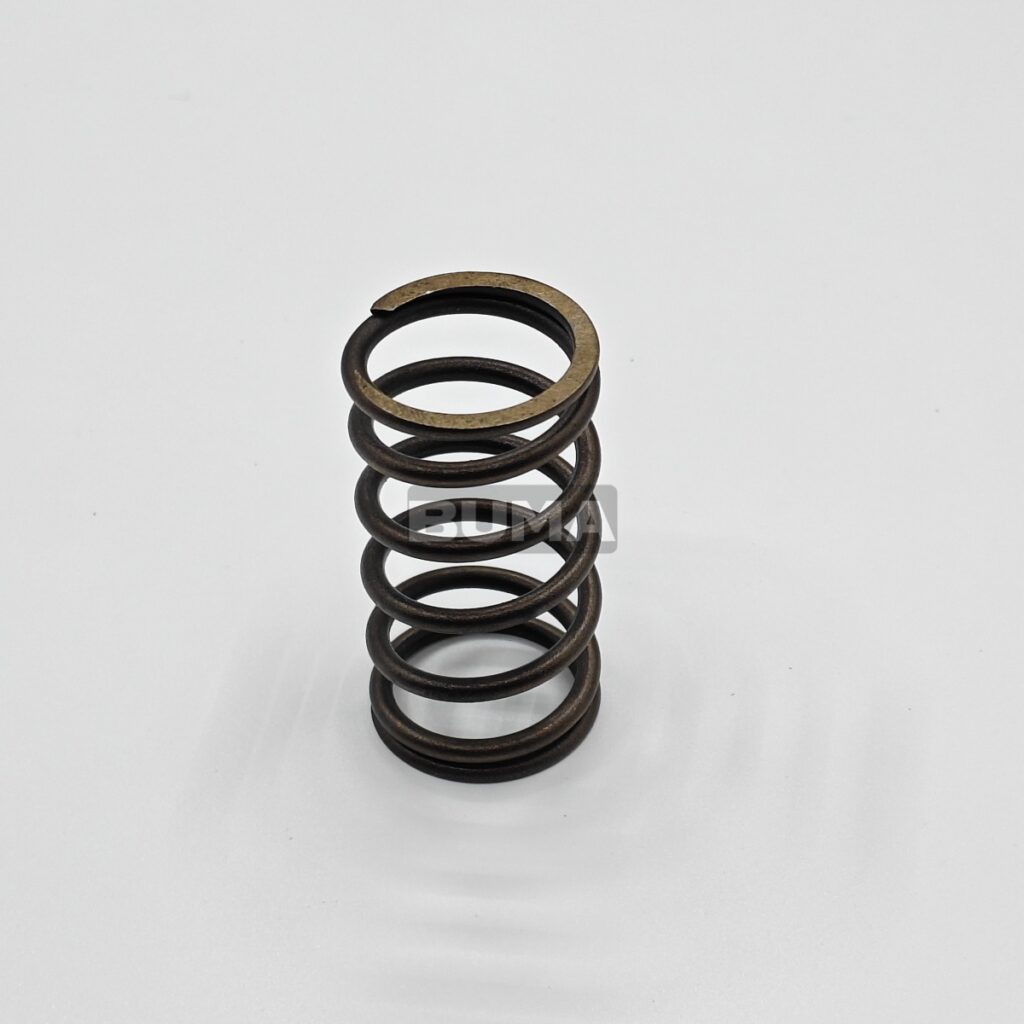 1222009 Valve Spring For Deutz
