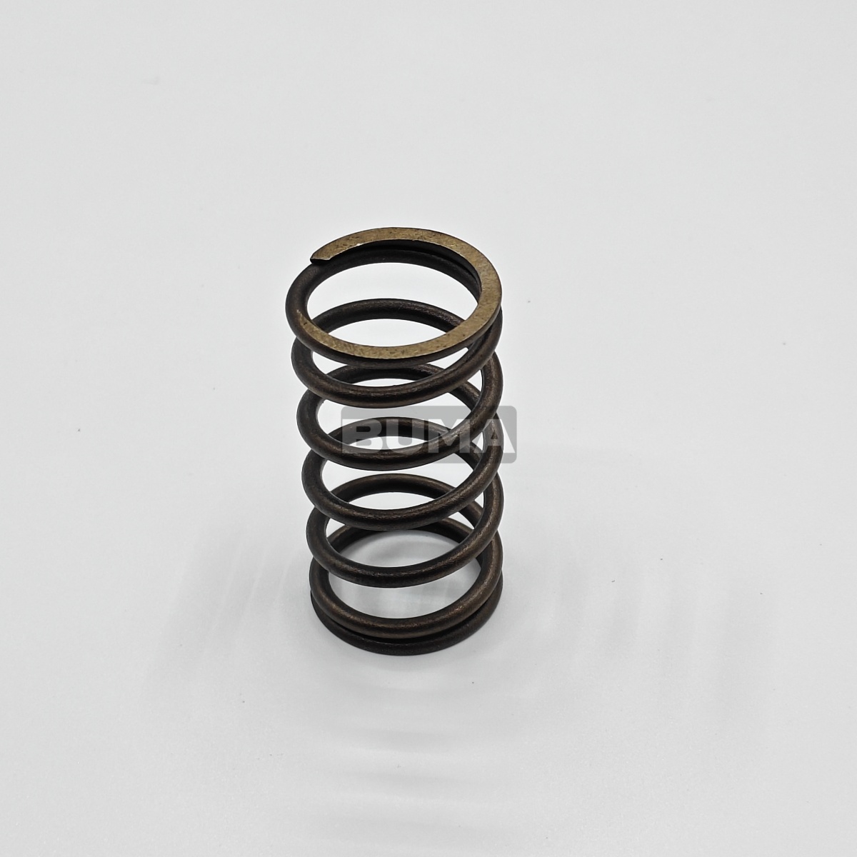 1222009 Valve Spring For Deutz