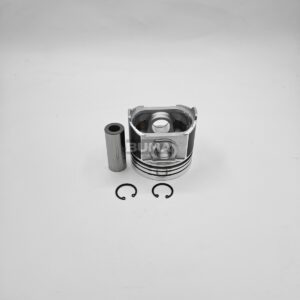1G796-21910 Piston Assembly