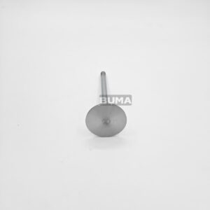 20798699 Intake Valve For Volvo 2 20798699 Intake Valve