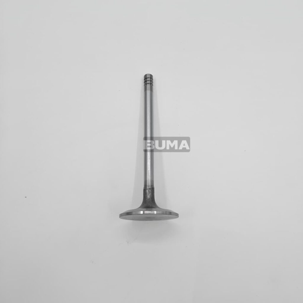 20798699 Intake Valve For Volvo