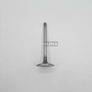 20798699 Intake Valve For Volvo 1 20798699 Intake Valve For Volvo