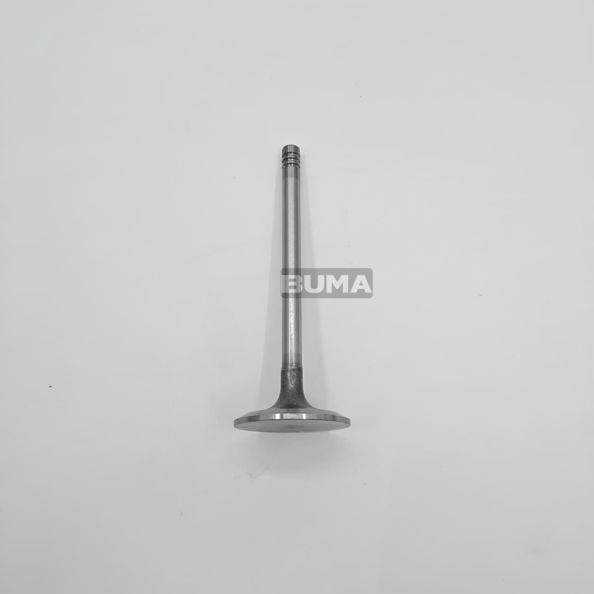 20798699 Intake Valve For Volvo