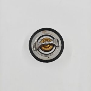 7000742 Thermostat