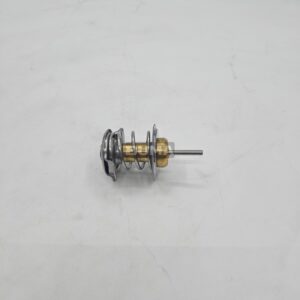 04198786 Thermostat