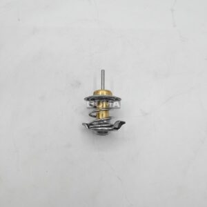 04198786 Thermostat For Deutz