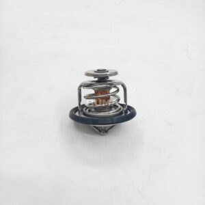320/04618 Thermostat