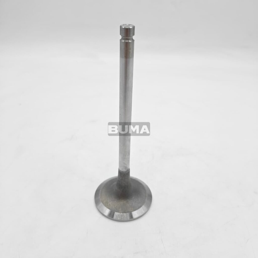 4895187 Intake Valve For Fiat