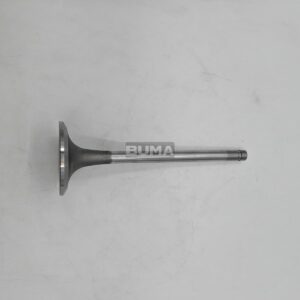 4895187 Intake Valve For Fiat